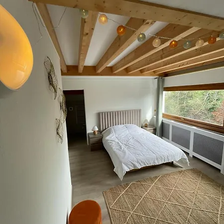 Appartement Le Bacchus Thonon-les-Bains